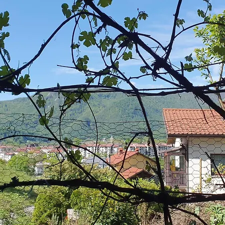 Bright And Sunny With Terrace - Two Bedroom With Terrace * Толмин